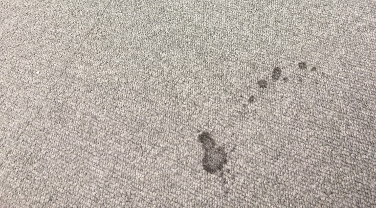 carpet dirt