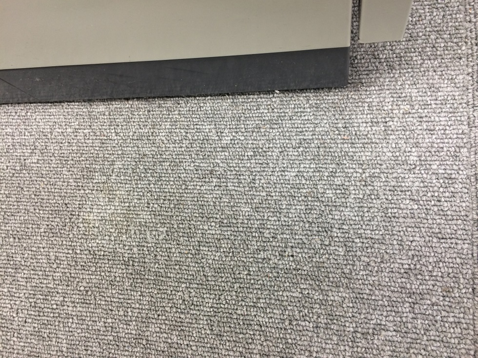 Cleanedcarpet