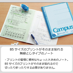         (       )(B5  )(        )     