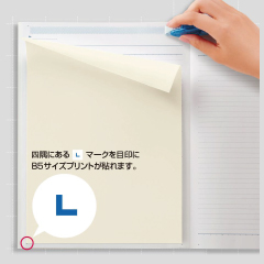         (       )(B5  )(        )     
