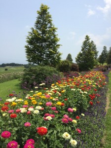 あわじ花さじき