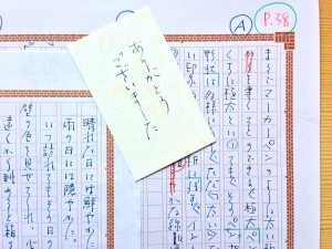 万年筆の太字と細字