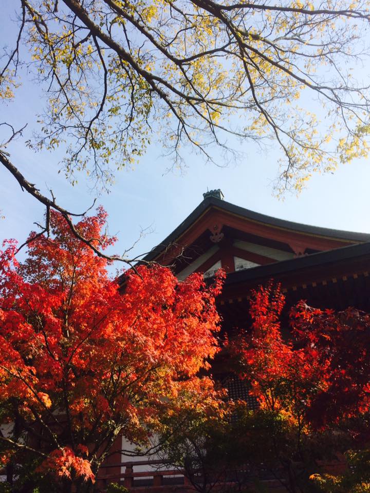 神戸市西区 国宝 太山寺