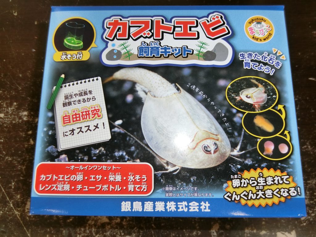 カブトエビ養殖作戦 ナガサワ文具センター