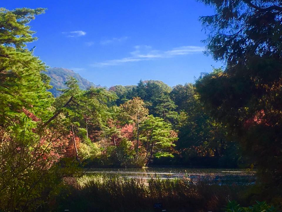 神戸市立森林植物園 紅葉散策