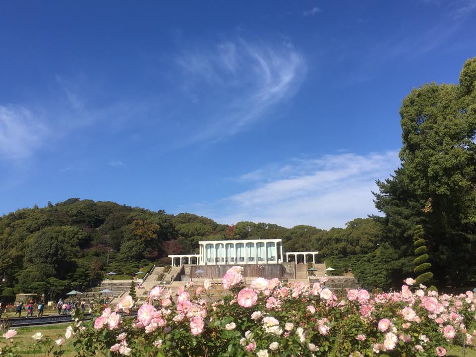 須磨離宮公園の薔薇