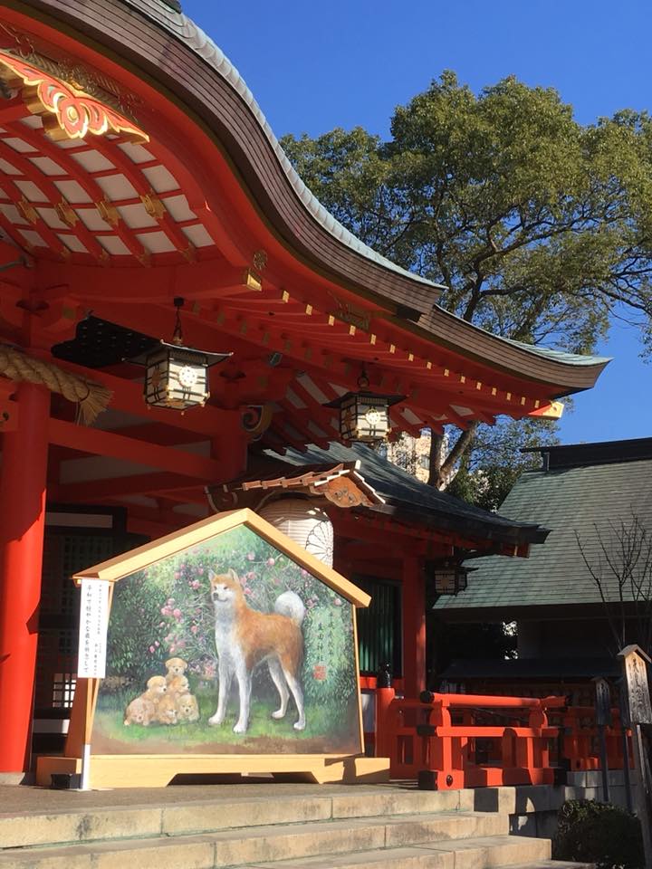 生田の森と神社