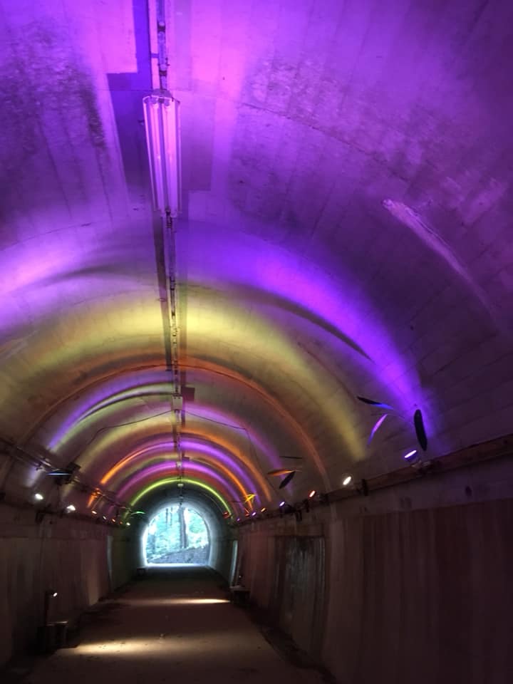 青葉トンネルのライトアップ