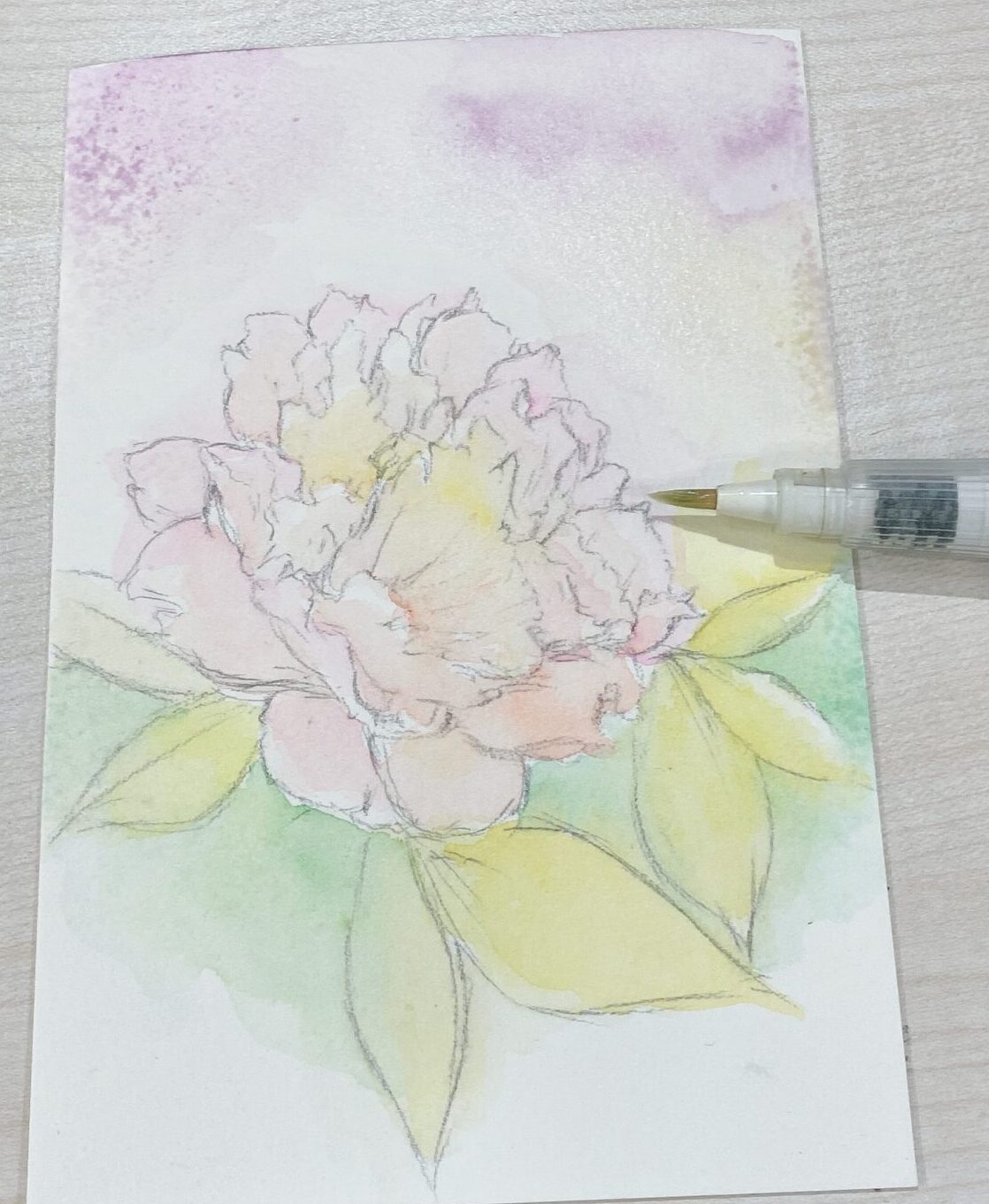 透明水彩絵具で花を描いてみよう 文具店員による脱 色音痴への道その２ ナガサワ文具センター