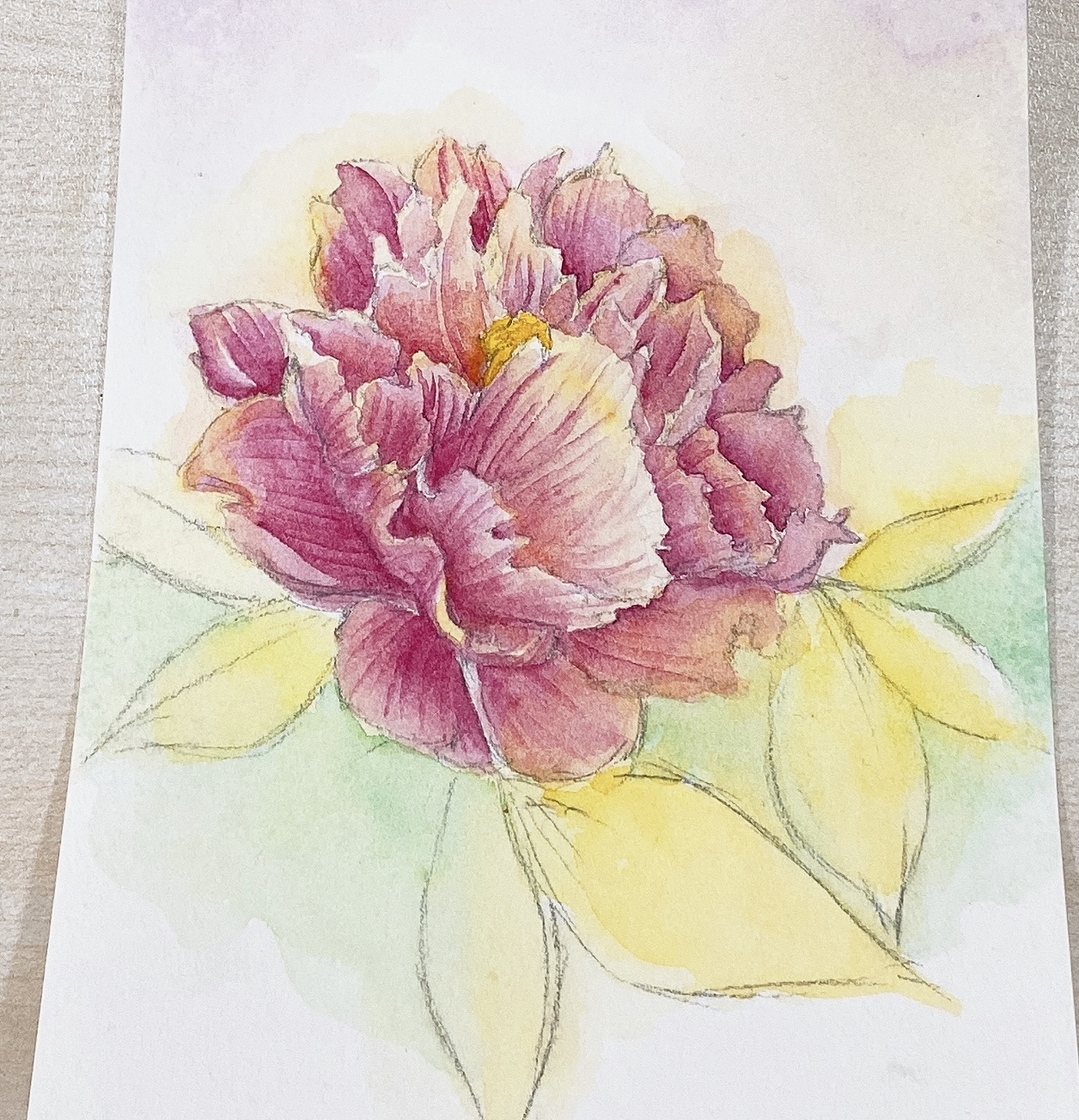 透明水彩絵具で花を描いてみよう 文具店員による脱 色音痴への道その２ ナガサワ文具センター